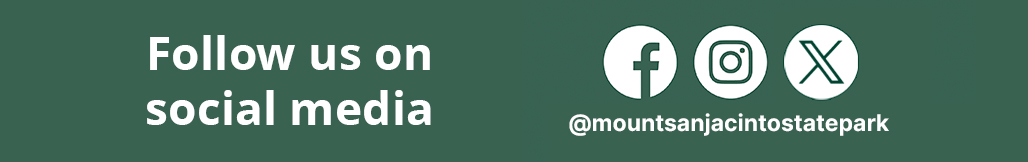 Social Media Banner